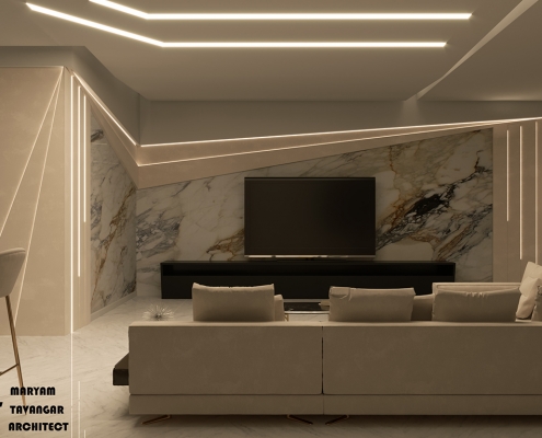 azim project living room04