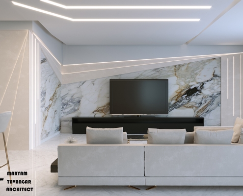 azim project living room05